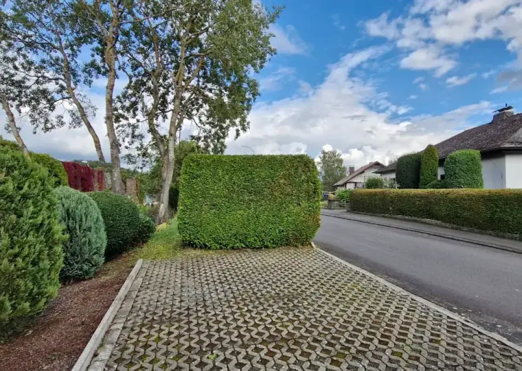 Frisch geschnittene Hecke an einer Einfahrt mit Rasengitterpflaster